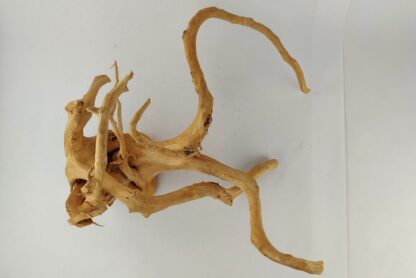 Spiderwood Wurzel für Aquarium Aquarienwurzel