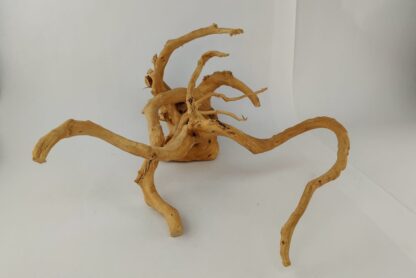 Spiderwood Wurzel für Aquarium Aquarienwurzel