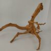 Spiderwood Wurzel für Aquarium Aquarienwurzel