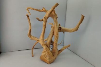 Spiderwood Wurzel für Aquarium Aquarienwurzel