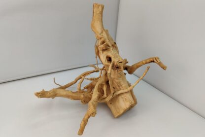 Spiderwood Wurzel für Aquarium Aquarienwurzel