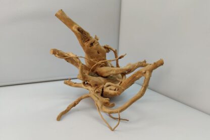 Spiderwood Wurzel für Aquarium Aquarienwurzel