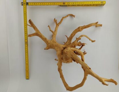 Spiderwood Wurzel für Aquarium Aquarienwurzel