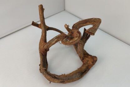 Lianenwürfel Aquarienwurzel
