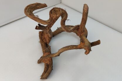 Lianenwürfel Aquarienwurzel
