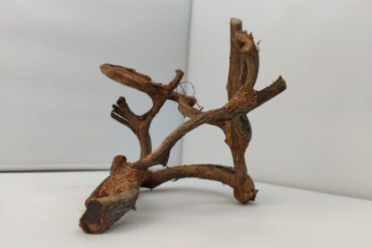 Lianenwürfel Aquarienwurzel