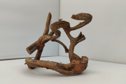 Lianenwürfel Aquarienwurzel