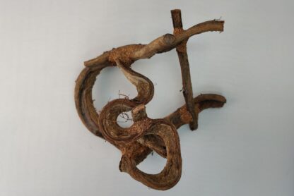 Lianenwürfel Aquarienwurzel