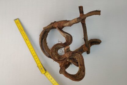 Lianenwürfel Aquarienwurzel