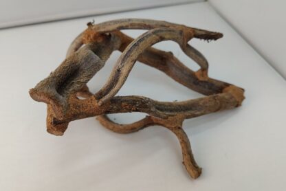 Lianenwürfel Aquarienwurzel