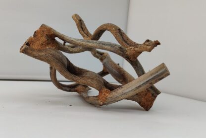 Lianenwürfel Aquarienwurzel