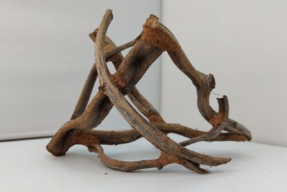 Lianenwürfel Aquarienwurzel