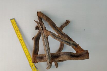 Lianenwürfel Aquarienwurzel