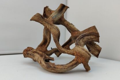 Lianenwürfel Aquarienwurzel