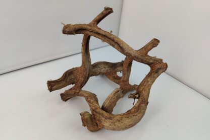 Lianenwürfel Aquarienwurzel