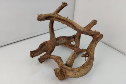 Lianenwürfel Aquarienwurzel