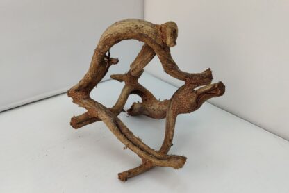 Lianenwürfel Aquarienwurzel