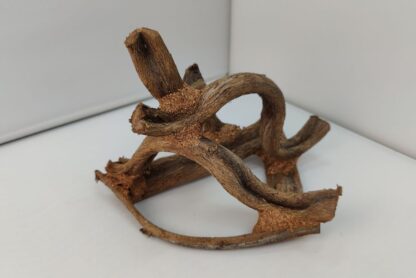 Lianenwürfel Aquarienwurzel