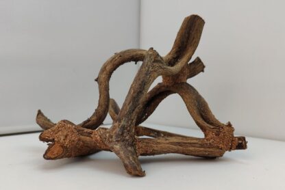 Lianenwürfel Aquarienwurzel