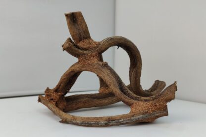 Lianenwürfel Aquarienwurzel