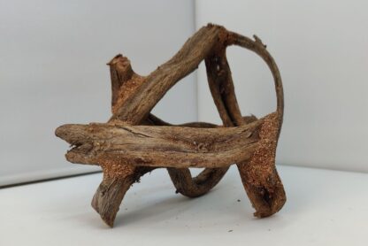 Lianenwürfel Aquarienwurzel