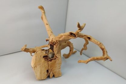 Spiderwood Aquarienwurzel