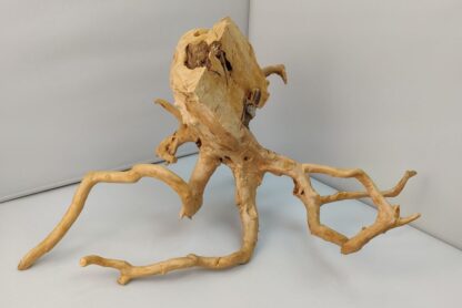 Spiderwood Aquarienwurzel