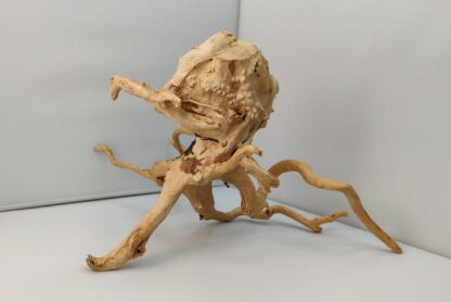 Spiderwood Aquarienwurzel