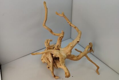 Spiderwood Aquarienwurzel