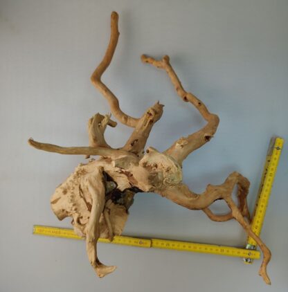 Spiderwood Aquarienwurzel