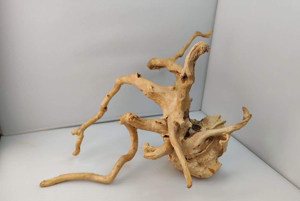 Spiderwood Aquarienwurzel