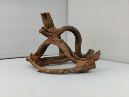 Lianenwürfel Aquarienwurzel