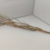 Talawa wood Teawood Aquarium root TB10 ca. 60 cm