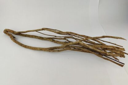 Talawa wood Teawood Aquarium root TB4 ca. 58x12x10 cm