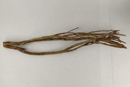 Talawa wood Teawood Aquarium root TB4 ca. 58x12x10 cm - Image 2