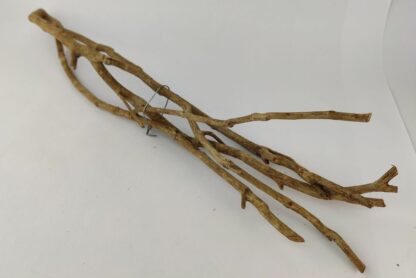 Talawa wood Teawood Aquarium root TB5 ca. 54x15x8 cm