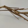 Talawa wood Teawood Aquarienwurzel TB6 ca. 63x12x10 cm