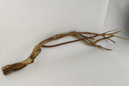 Talawa wood Teawood Aquarium root TB6 ca. 63x12x10 cm - Image 3