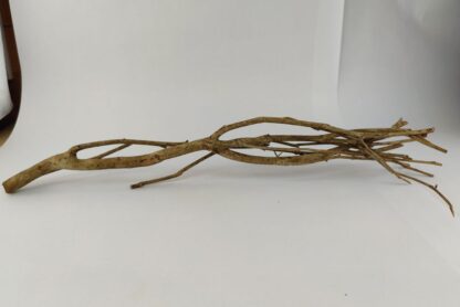 Talawa wood Teawood Aquarium root TB7 ca. 57x10x9 cm - Image 2