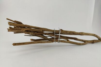 Talawa wood Teawood Aquarium root TB8 ca. 58 cm