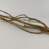 Talawa wood Teawood Aquarienwurzel TB9 ca. 46x10x7 cm – Bild 4