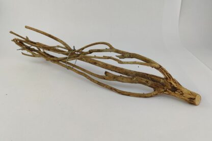 Talawa wood Teawood Aquarium root TB9 ca. 46x10x7 cm - Image 4
