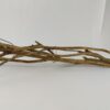 Talawa wood Teawood Aquarienwurzel TB9 ca. 46x10x7 cm