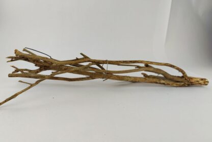 Talawa wood Teawood Aquarium root TB9 ca. 46x10x7 cm