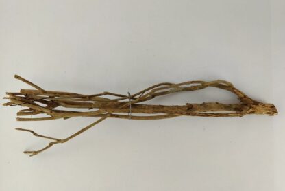 Talawa wood Teawood Aquarium root TB9 ca. 46x10x7 cm - Image 2