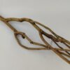 Talawa wood Teawood Aquarium root TB2 ca. 54x13x7 cm - Image 4