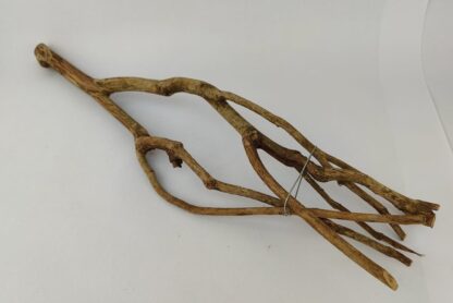 Talawa wood Teawood Aquarium root TB2 ca. 54x13x7 cm - Image 4