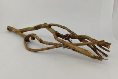 Talawa wood Teawood Aquarium root TB2 ca. 54x13x7 cm