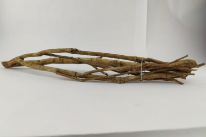 Talawa wood Teawood Aquarium root TB1 ca. 54x13x8 cm - Image 3