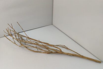Talawa wood Teawood Aquarium root TB10 ca. 60 cm - Image 5